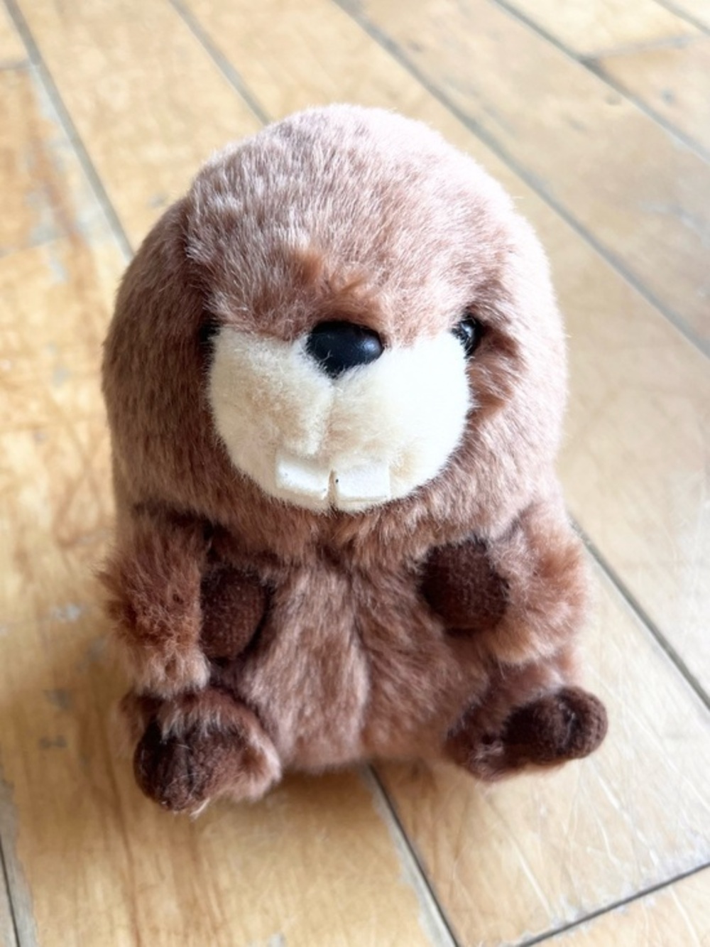 Aurora Beaver Small Soft Stuffed Animal Plush Toy